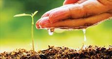 پاورپوینت تغییرات آب و هوایی و کارایی کشاورزی متشکل از سیستم های کشاورزی